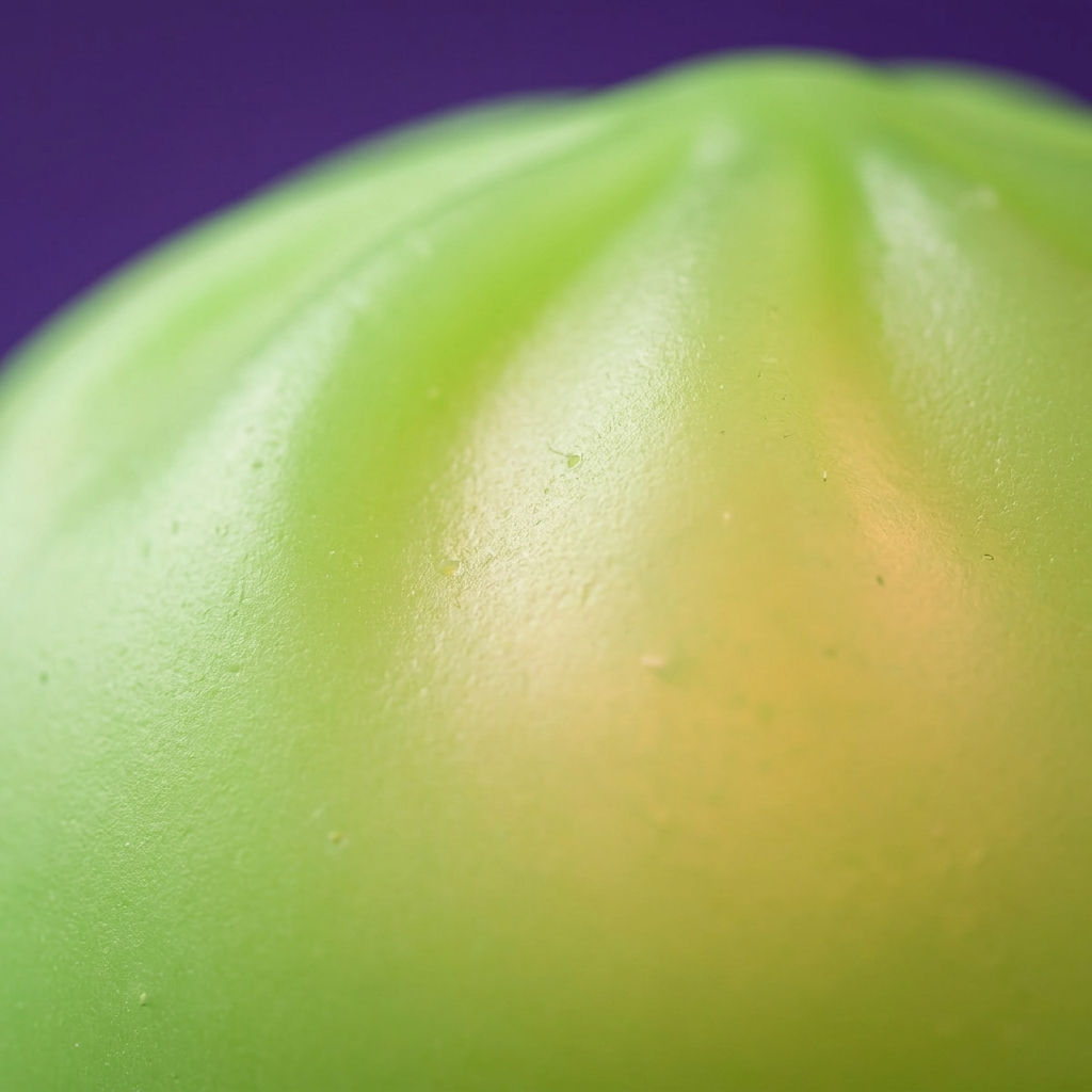 Dumpling Squishy Lampka Nocna Zielona makro tekstury pianki