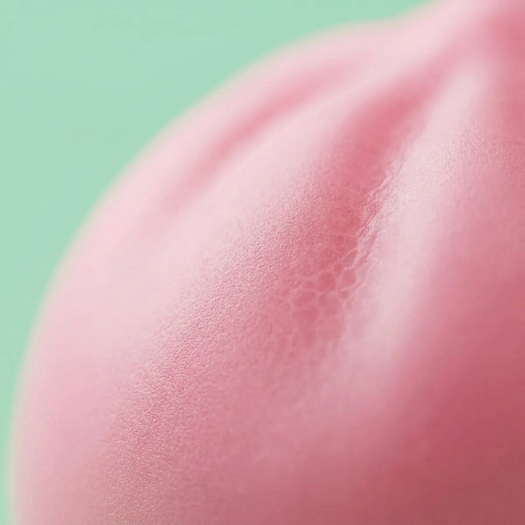 Dumpling Squishy Różowy Pufiasty makro tekstury pianki