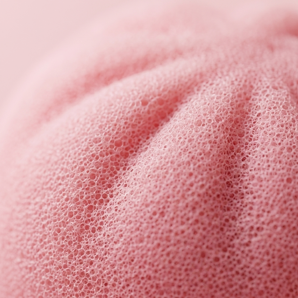 Pink Squishy Dumpling Kwiatowa Słodycz makro tekstury pianki