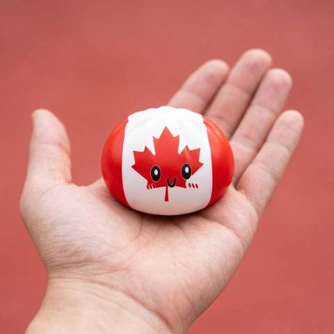 Flag Squishy Dumpling Kanada w dłoni — porównanie rozmiaru